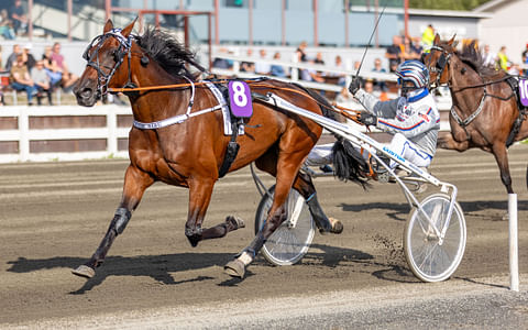 Petri Salmelan valmentama ja Kari Alapekkalan ajama Hector Sisu järjesti kotiradan juhlat.