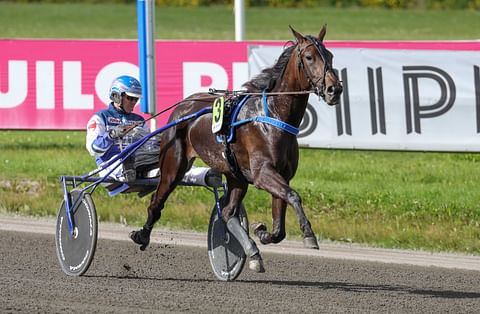 Pekka Korven Sofia Evo on sopiva ideavarma Vermoon. Derbyn Tammachampionissa valjakko starttaa mainiolta kakkosradalta.