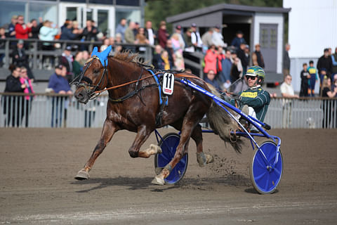 Parvelan Retun varsa Retostella juoksee koelähdön.