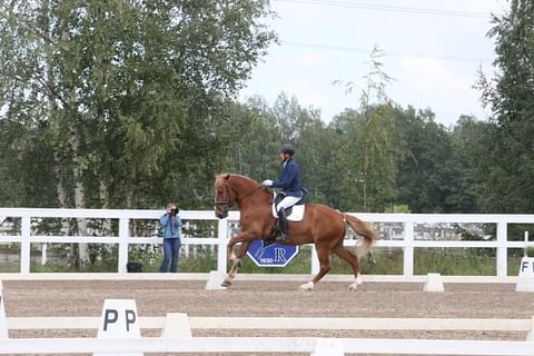 Lassi Lehmusto ja Vekardo nähdään viikonloppuna Stable Novassa. Ratsukko voitti Tuomarinkylän osakilpailun ja on pistetilanteessa kuudentena. Viisi parasta otetaan, mutta ratsukko mahtuu mukaan, koska Anna Kärkkäinen ja Kulta-ahon Kasimir eivät osallistu. 