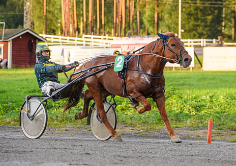Hannu Torvinen ohjasti Nuorten sarjassa voittoon 4-vuotiaan Myrskyluodon Jannen.