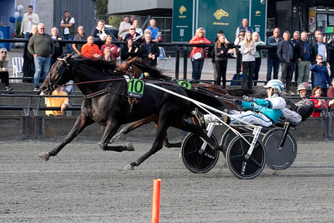 Cabaret Artist on ensimmäinen suomalaisten kasvattama voittaja Norjan Derbyissä.