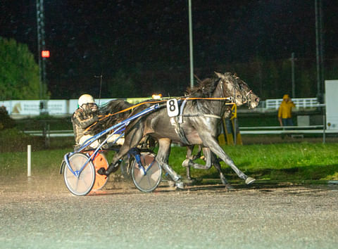 Caesar Stablen omistama, Hannu-Pekka Korven valmentama ja Emmi Laihon hoitama Icella voitti 3-vuotiaiden tammojen Kasvattajakruunun alkuerän.