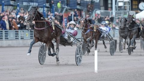 Hohneck voittaa UET Elite Circuitin.