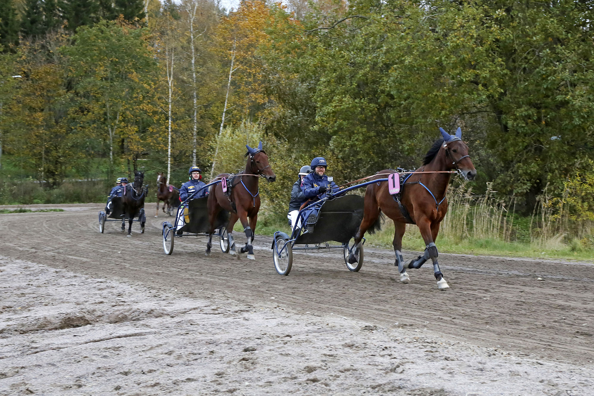 Ennen radalle menoa hevoset verryttelevät. Samalla ohjastajat saavat tuntuman hevosiin.