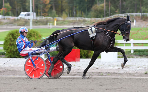 Ravihevonen Extrema rattaillaan Olli Koivunen