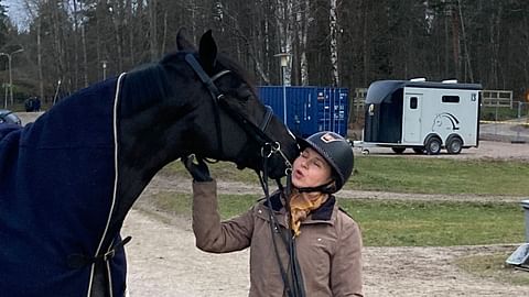 Uusi hevoshankinta, jonka tarkoitus on viedä harrastus uudelle tasolle. 