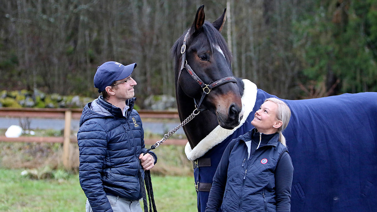 Adamas on hevonen, josta Aki Karhapää ja Tuija Rosenqvist odottavat paljon.