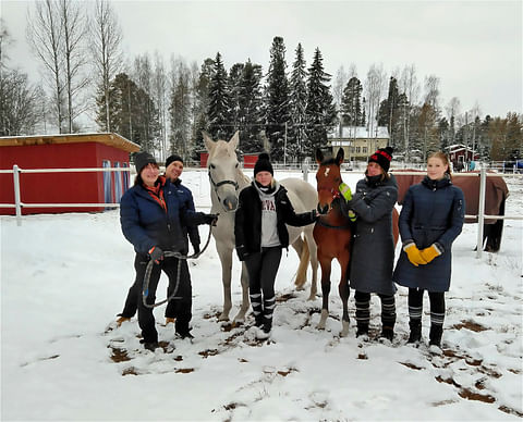 Tallibotin innovoinut ”Hyvä arki” -työryhmä vasemmalta oikealle Carita Danielsson, Anu Tuomola, Kendie, Liisa Niemi, Osaran Kaspian, Kirsi Lindell ja Aada Rautio. Kuvasta puuttuvat Riikka Lampinen ja Jenna Salo. ”Meillä eletään hyvää talliarkea, josta teknologian avulla saadaan sekä hevoselle että ihmiselle vielä parempi”, Anu Tuomola kiteyttää.