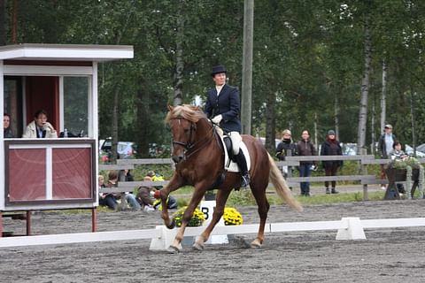 Maija Heikkinen ja Herkko Hurmaus. 