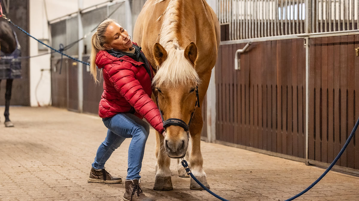 Stammerin avulla hevosen vatsalihakset supistuvat, ranka nousee ja pää laskee. Ihmiseltä edellytetään läsnäoloa, rauhallisuutta ja hevosen kuuntelemista. 