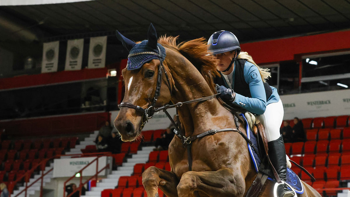 Gabalier on 11-vuotias hannoverruuna, se on ollut Annina Nordströmillä jo pidempään. Kuva Helsinki Horse Show´sta.