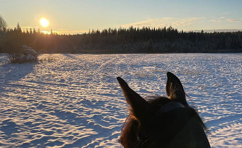 Pieksämäellä on reippaasti pakkasta ja talvipäivän seisaustakin vielä odotellaan, mutta ei aikaakaan, ja se on heinäkuu ja helteet Versaillesin puistossa.  