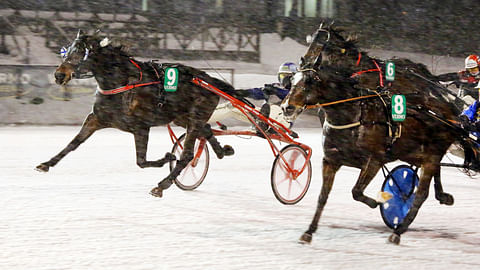 Hierro Boko (9) tuli väkisin voittoon ohi Payetin.