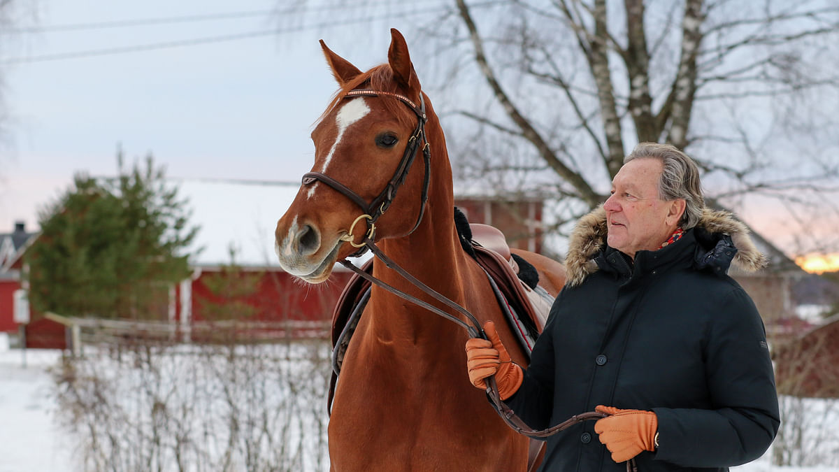 Celtas Quillian on Kenneth Varsanpään uusin hevoshankinta.