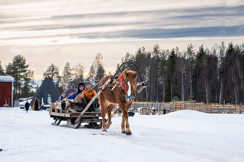 Rekiajelut ovat turistien suosiossa talvella.