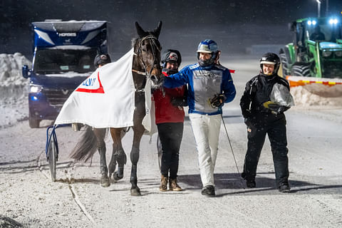 Amazing Player saapui Tampereella 9. joulukuuta seremonipaikalle Irina Sarinin (vas.) ja ohjastaja Jarmo Saarelan kera. Päivä oli Sarinin perheelle täynnä Aimon tuomaa iloa.