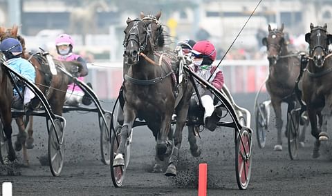 Izoard Vedaquais voittaa Prix de Belgiquen.