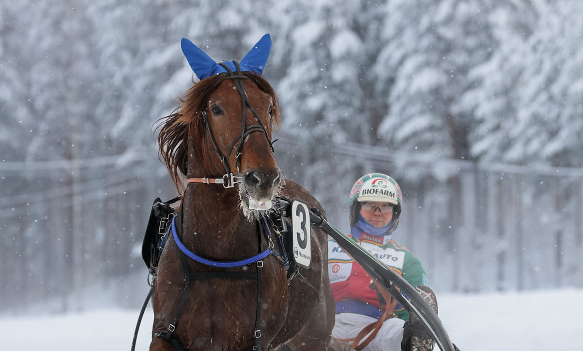 Issakan Valo voitti vuoden toistaiseksi ainoan starttinsa Teivossa Hannu Hietasen omistamana.