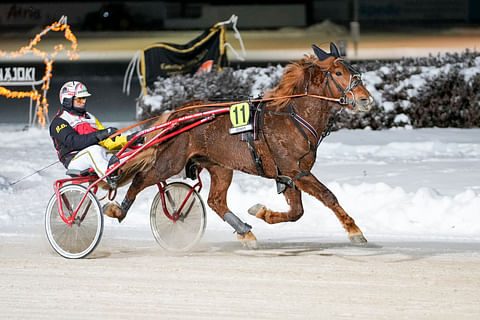 Vale-Elli kärsi tappion Derbyssä, mutta nousee silti 4-vuotiaiden ykkösnimeksi.