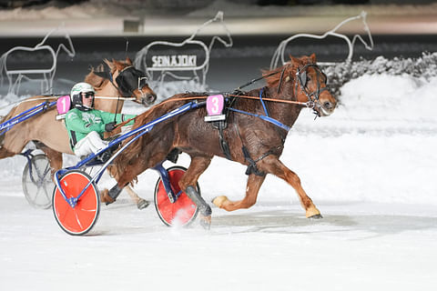 Rallan Ruhtinas esitti Seinäjoella parastaan.