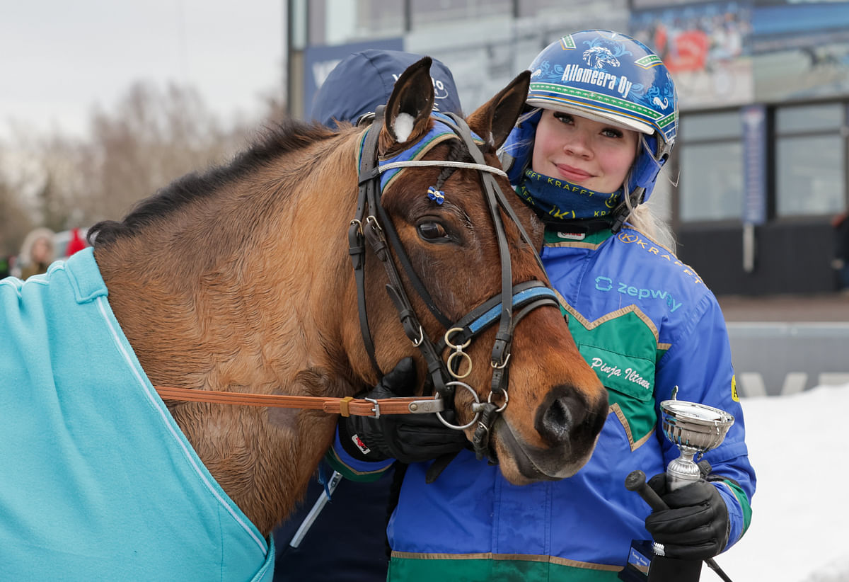 H.V. Loreen on toinen poneista, joilla Pinja Iltanen tavoittelee paikkaa Elitloppet-viikonlopulle Pikku Finlandian kautta.