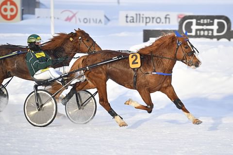 Kukkarosuon Kurko tekee paluun radoille ensi vuoden alkupuolella.