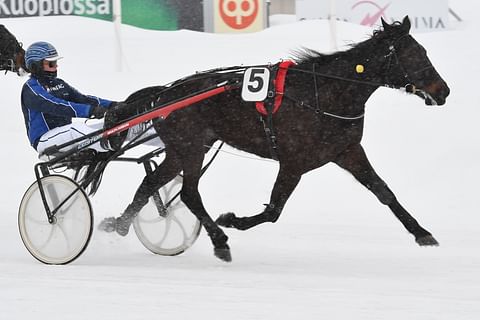 Moonlight Dream puristi Niko Riekkisen ajamana muista mehut.