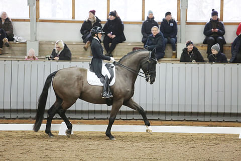 Siiri Kyrö ja Kyrö Hot Flow, talvea ja maneesikelejä kärsimättömästi odotellessa.  Ja tietenkin Horse Show'ta. 