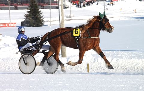 Kukkarosuon Veijo on iso ja pitkäjalkainen lahjakkuus.