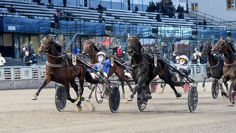 Staro Mack Crowe (5) kiri viime marraskuussa Breeders Crownin välierävoittoon.