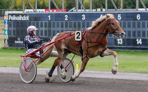 Adven Ture on Toto5-2:ssa kakkossuosikki. Lappeessa ruuna saa taakse Ville Tonttilan, kuvassa ohjissa Antti Teivainen.