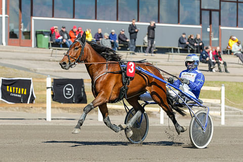 Amazing Player ja Jarmo Saarela pyrkivät polkaisemaan suomalaisjuhlat käyntiin.