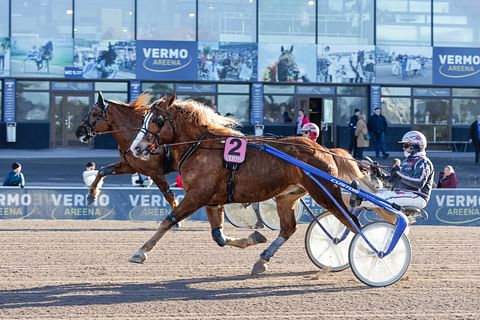 Toto75-ennakko Uumaja, jackpot: Stallone haastaa kylmäveriset ja jahtaa Elitkampenin paikkaa, Salmelan voittokone Klass I:ssä