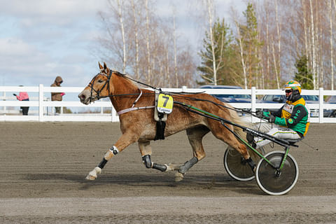 Hentun Liisa rattaillaan Teemu Okkolin