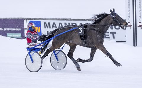 No Limit Royalty starttaa lämminveristen hopeadivisioonakarsintaan kolmosradalta.