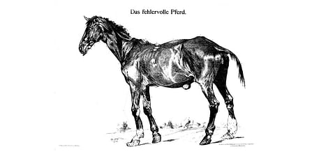 Das fehlervolle Pferd, hevonen täynnä vikoja,  vuodelta 1907. Ei mikään uusi asia. 
