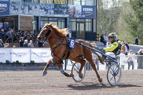 Rekilammen Sauli ja Henri Bollström hamuavat menestystä lauantaina Joensuussa ajettavasta 6-vuotiskunkusta.