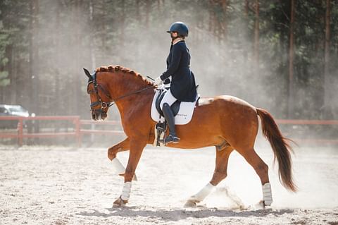 Hessin Leevi otti avausstartiksi vaativa A -tasoisen prix st georgesin, mutta entä jatko?