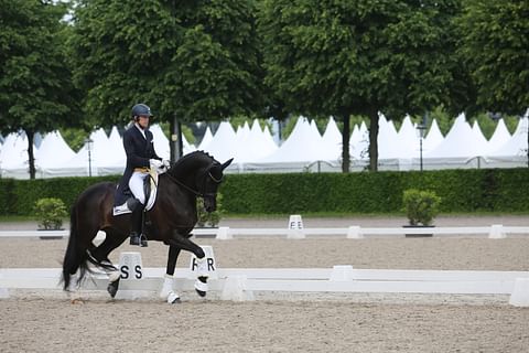 Tässä on Tiffanys Diamond, Henri Ruosteen uusin tulokas GP-radoille. Debyyttiprosentit olivat 72 ja rapiat. Ei huono. 