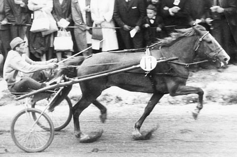 Lauri Kokko ja Helätin Kouvolassa vuonna 1964 voittamassa ensimmäistä kuningatarseppelettä. 