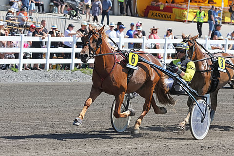 Caru starttaa Vieremän viidentenä lähtönä ajettavassa Black Horse Cupin finaalissa 20 metrin takamatkalta.