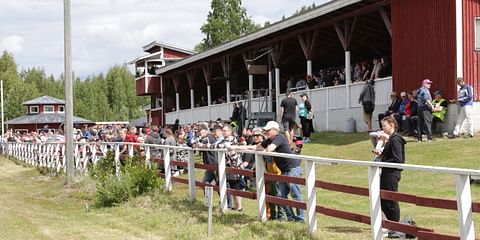 Yleisöä Mäntän paikallisraveissa