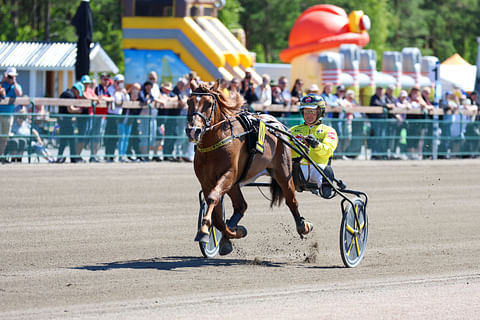 Weikko hurjasteli Härmässä lauantaina ennen ravien alkua.