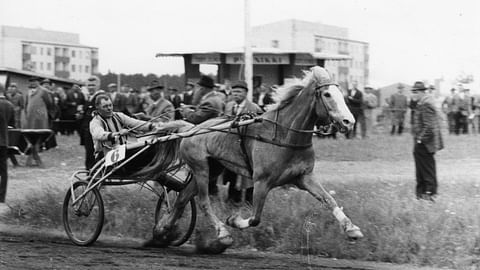 Ravihevonen Reipas ja Aapeli Miettinen