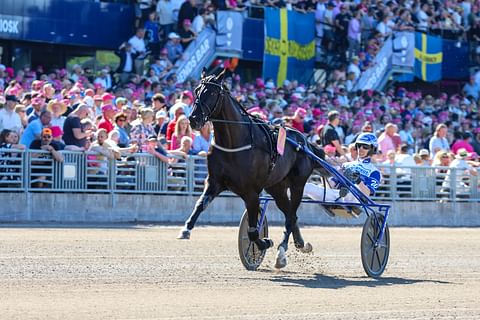 Borups Victory ravihevonen Solvallassa