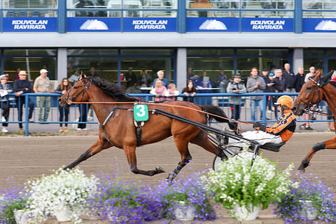 Japiro Queen nappasi ensimmäisen Suomen-voittonsa.