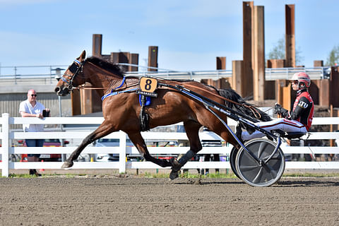 MAS Champ lensi kuin lintu Number Onen sankariksi.