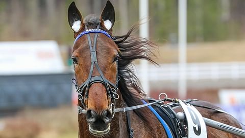 Piece Of Hero on ideavihjeen varmavalinta. Ruuna on kolmossuosikkina mielenkiintoinen pelikohde.