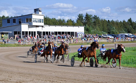 Suomenhevoslähtö Kokkolan raviradalla.